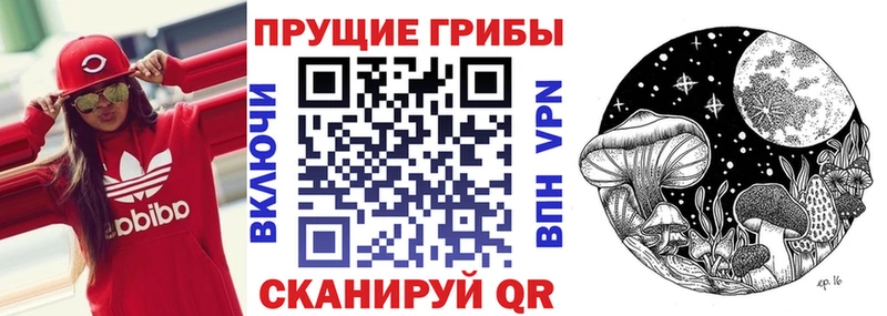 продажа наркотиков  Данилов  Псилоцибиновые грибы ЛСД 