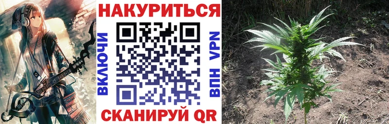 Каннабис тримм  купить наркоту  Данилов 